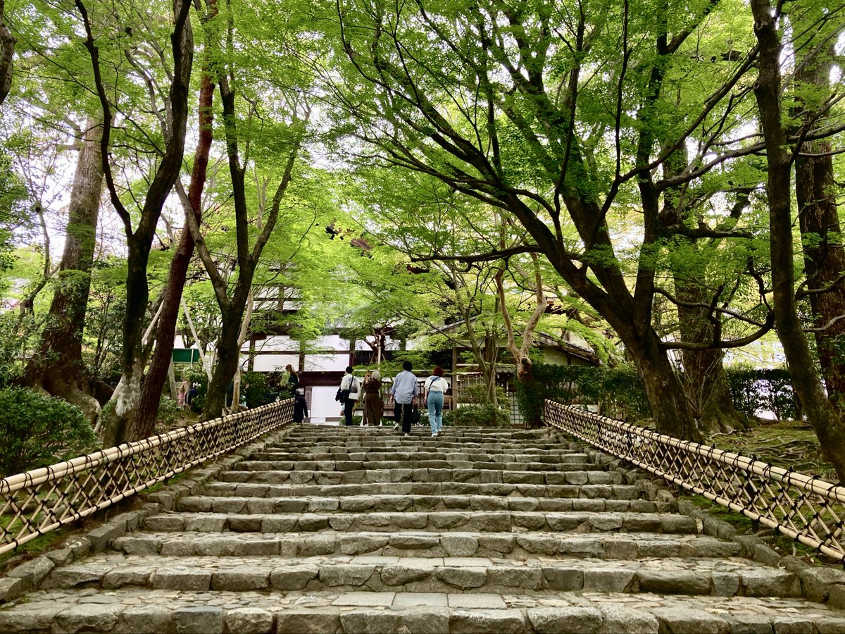 ー◯◯◯ tweet media