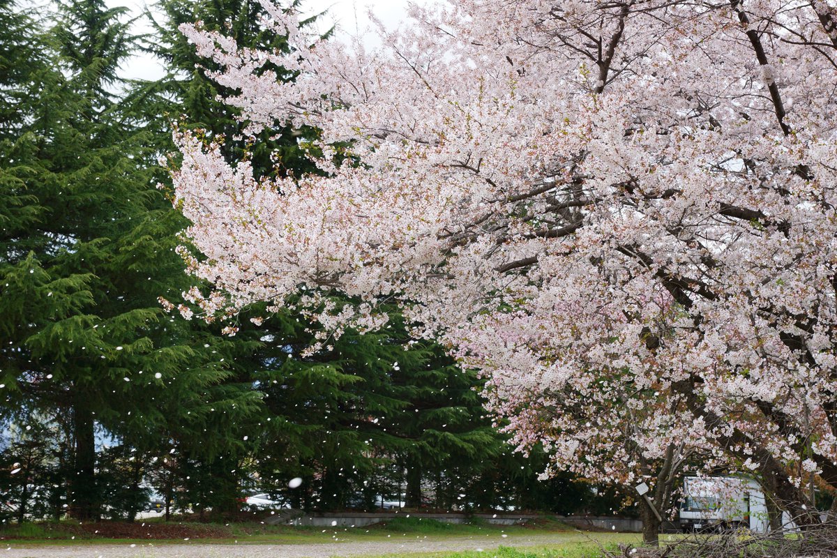 あずさ 大糸線沿線民 tweet media