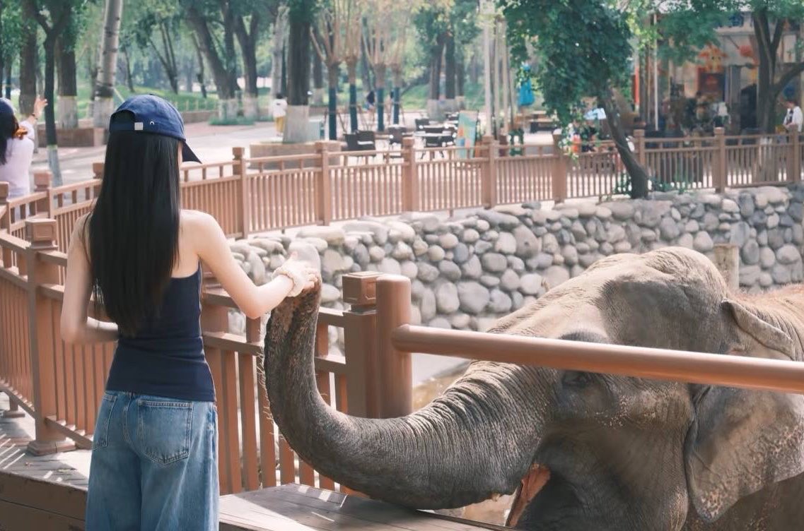 喵了个咪🐳 tweet media