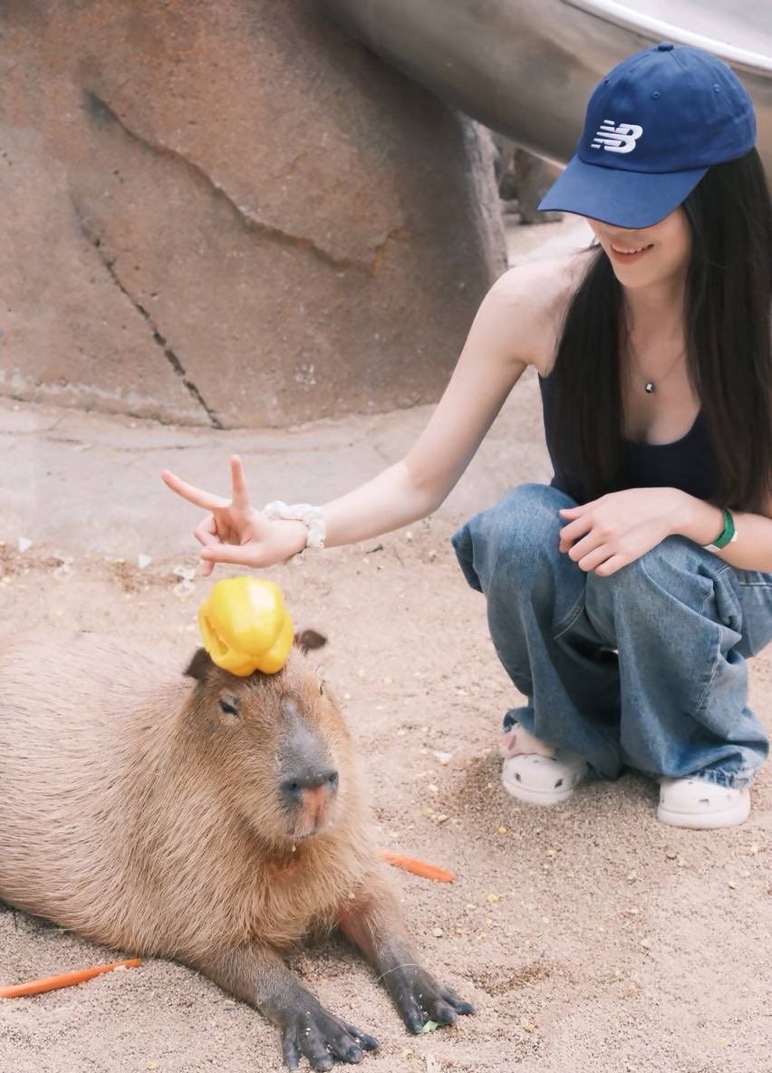 喵了个咪🐳 tweet media