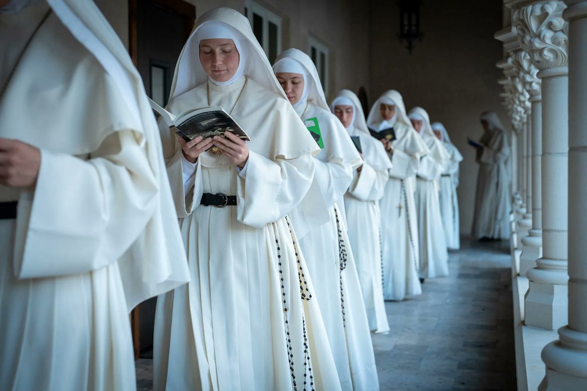 Abrace a Tradição tweet media