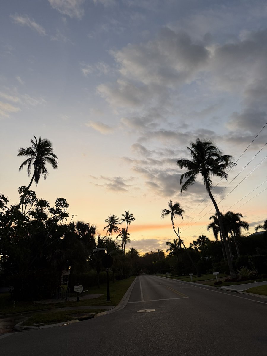 Laura Smith tweet media