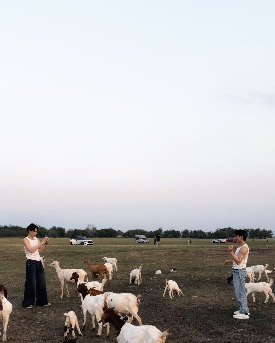 OPEN LABEL tweet media