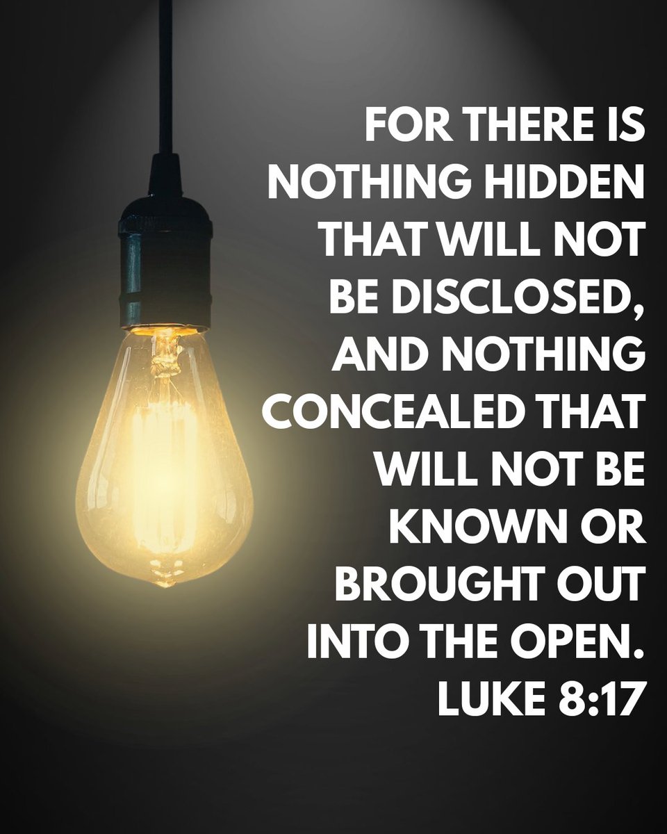 Helen Shannon tweet media