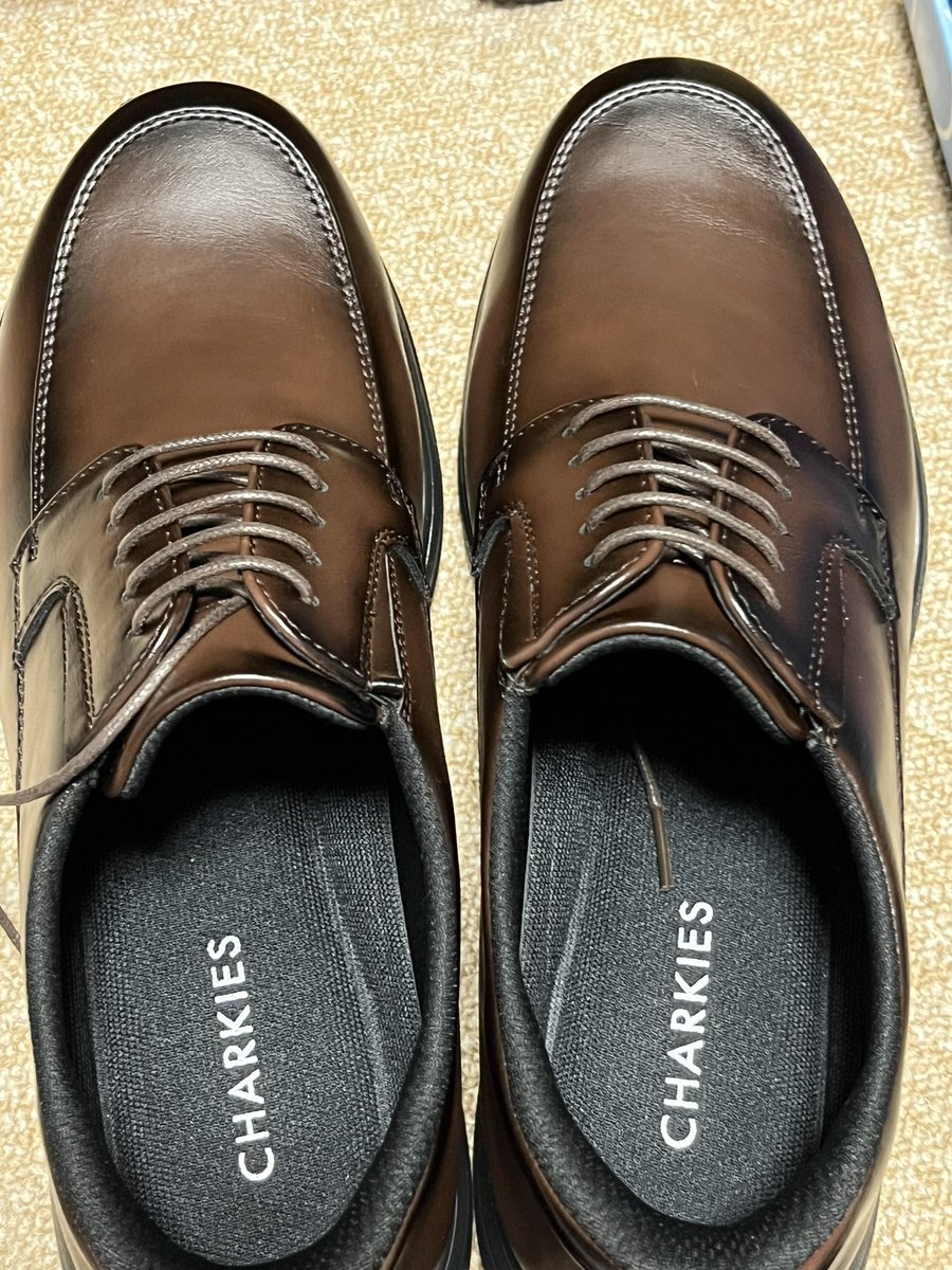 モルカー大好き‼️ tweet media