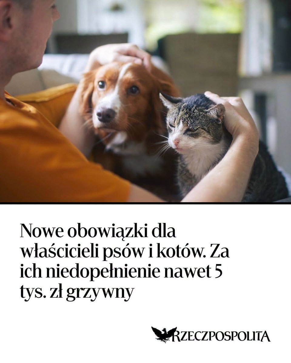 Krystian Pacholik tweet media