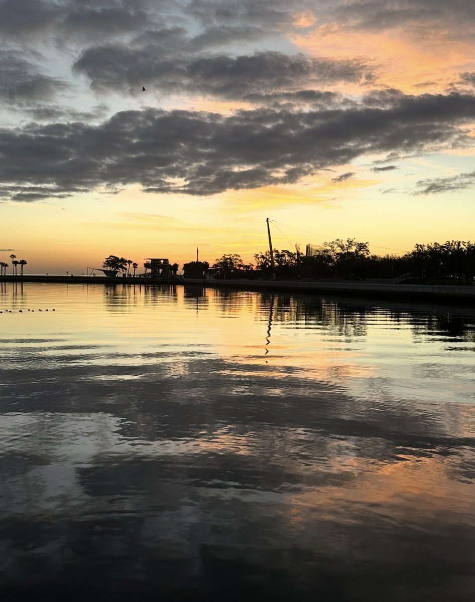 R. Scott Sicario tweet media