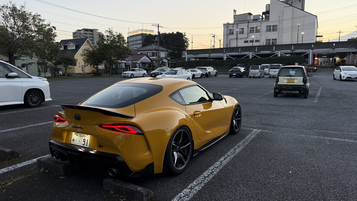 まぐ🦊❄️🔔 tweet media