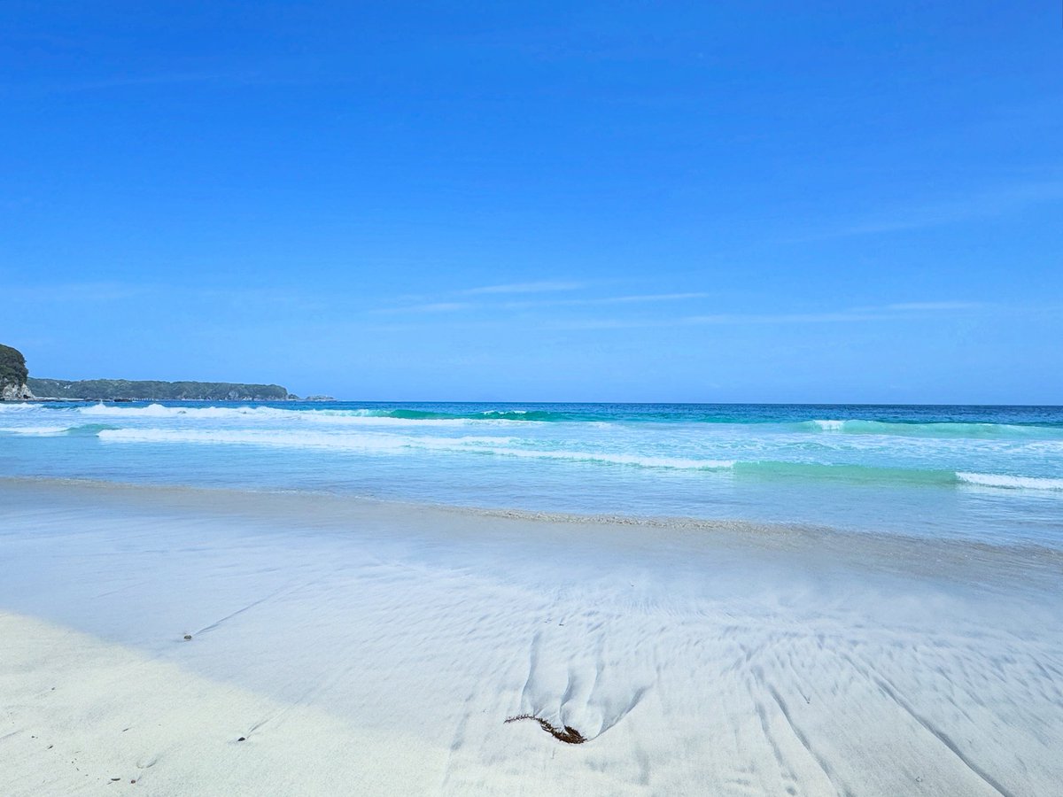 ♱♱♱ 𝔎𝔬𝔱𝔞𝔯𝔬 ♱♱♱ tweet media