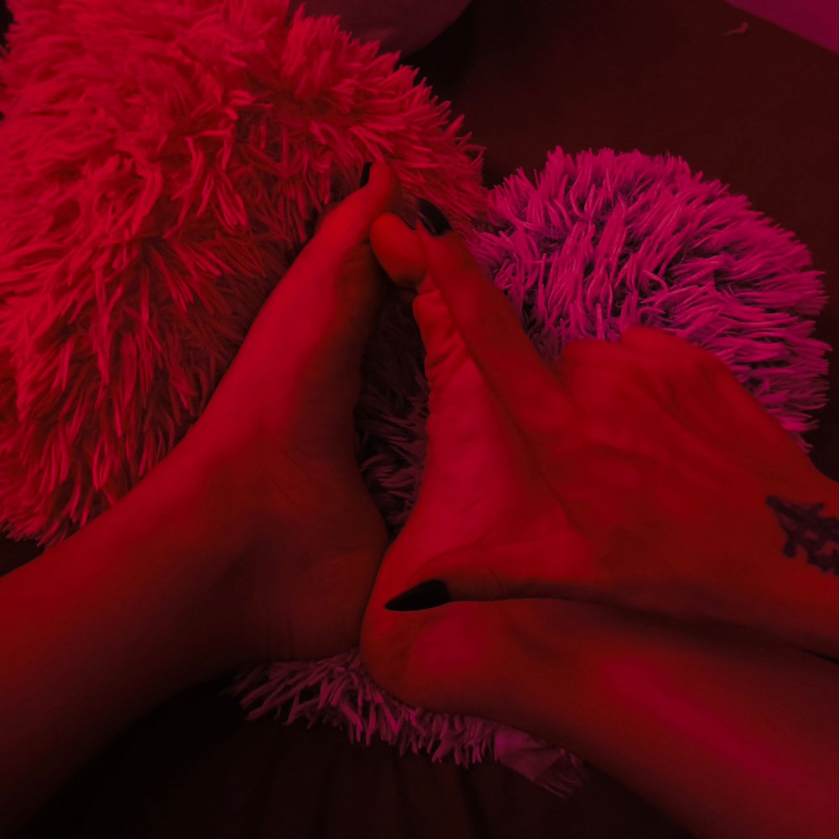 SeraphMissBU's tweet photo. A mis pies, la comida está servida chucho 😈💸🐶 

RT para ayudarme a encontrar a mis sumisos perdidos ❤️‍🩹🐶

#femdom #findom #femdomme #findomme #transdomme #cuckold #simp #sumisofinanciero #pagafantas #humanatm #finfet #femboy #kink #ts #girldick #girldickjuice #shecock https://t.co/bRKUvGAItn