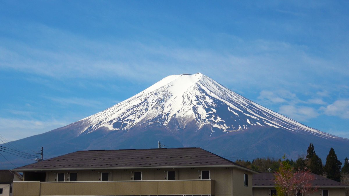 甘南備 歩(かんなび めぐる) 🥨 tweet media
