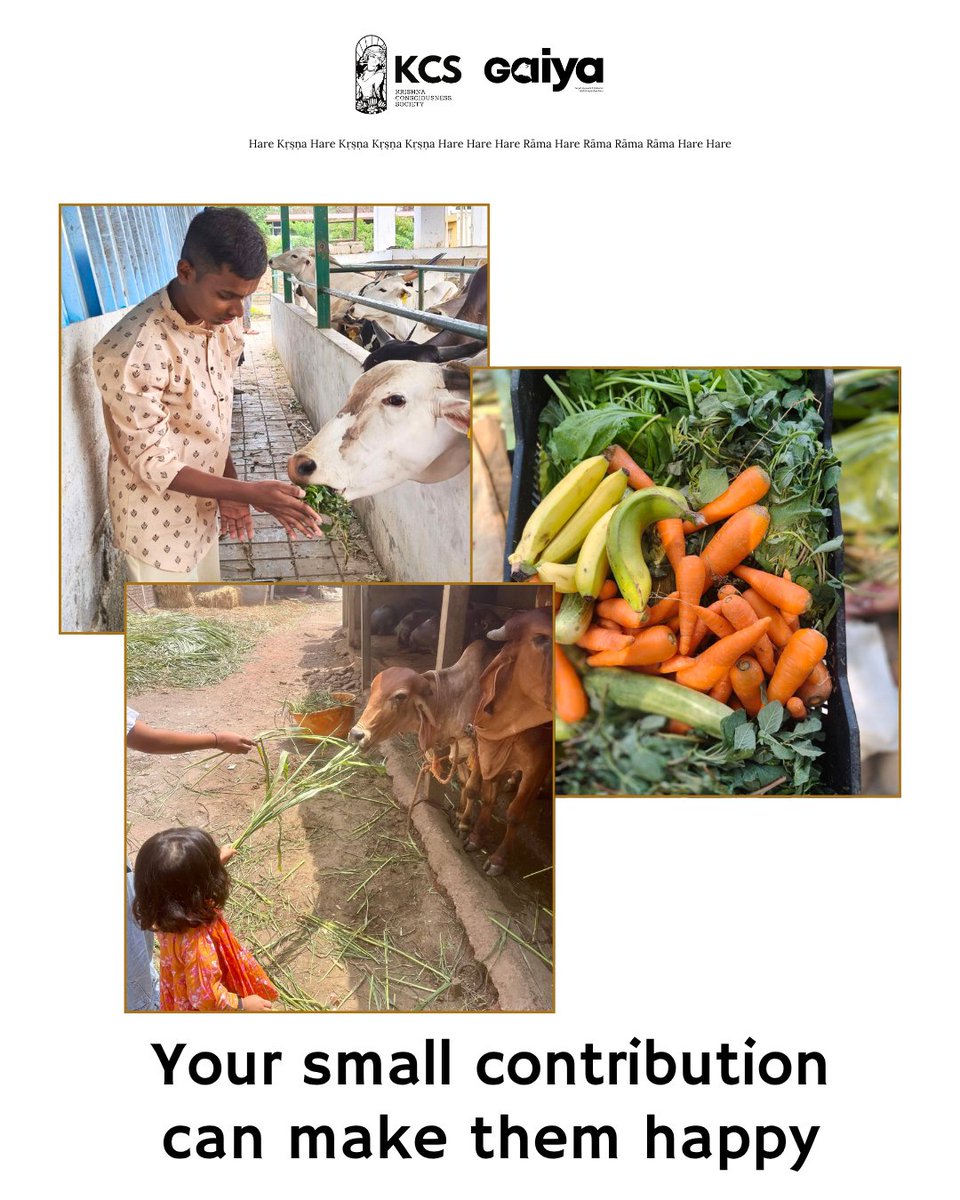 GAIYA has successfully fed 5500+ mother cows! 

Keep showing support by your kind donations.

Below is the link !

projectgaiya.com/gaiya-goshala