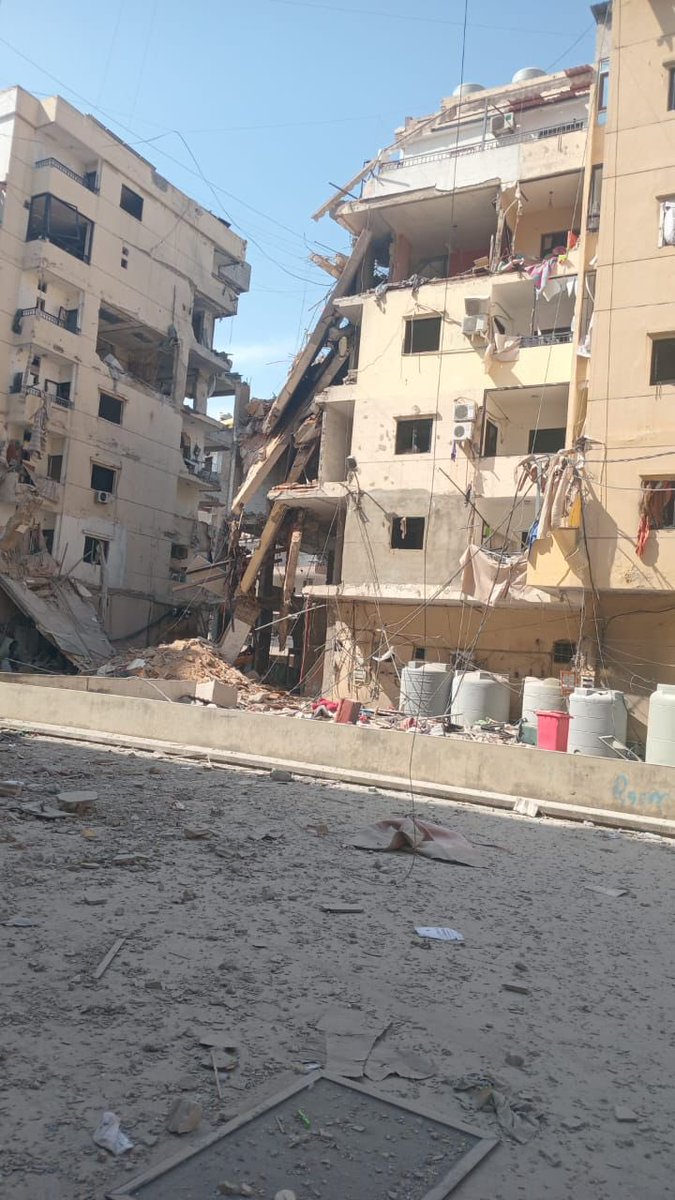 Abdallah Adel tweet media