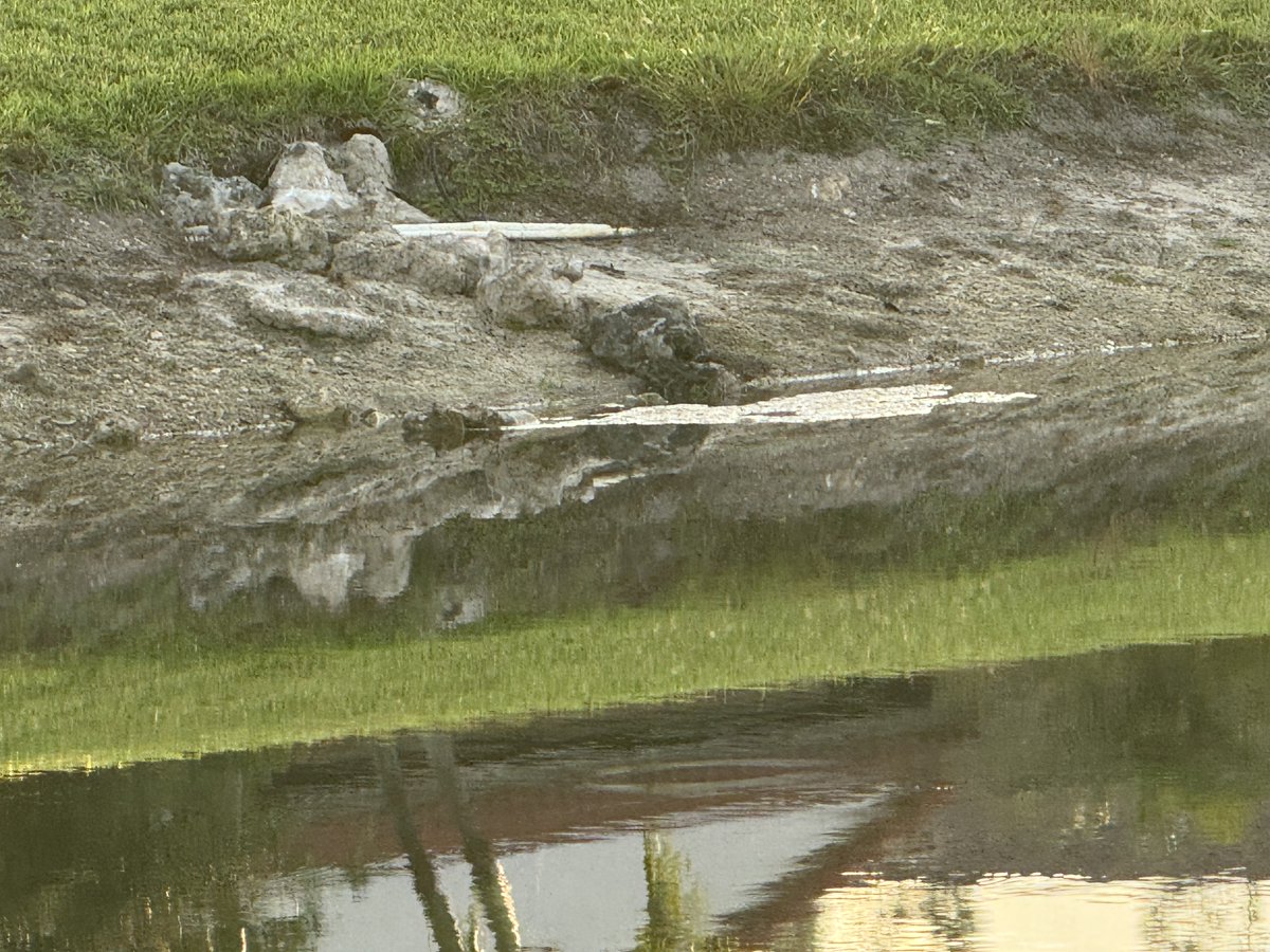 Wade Sarver tweet media