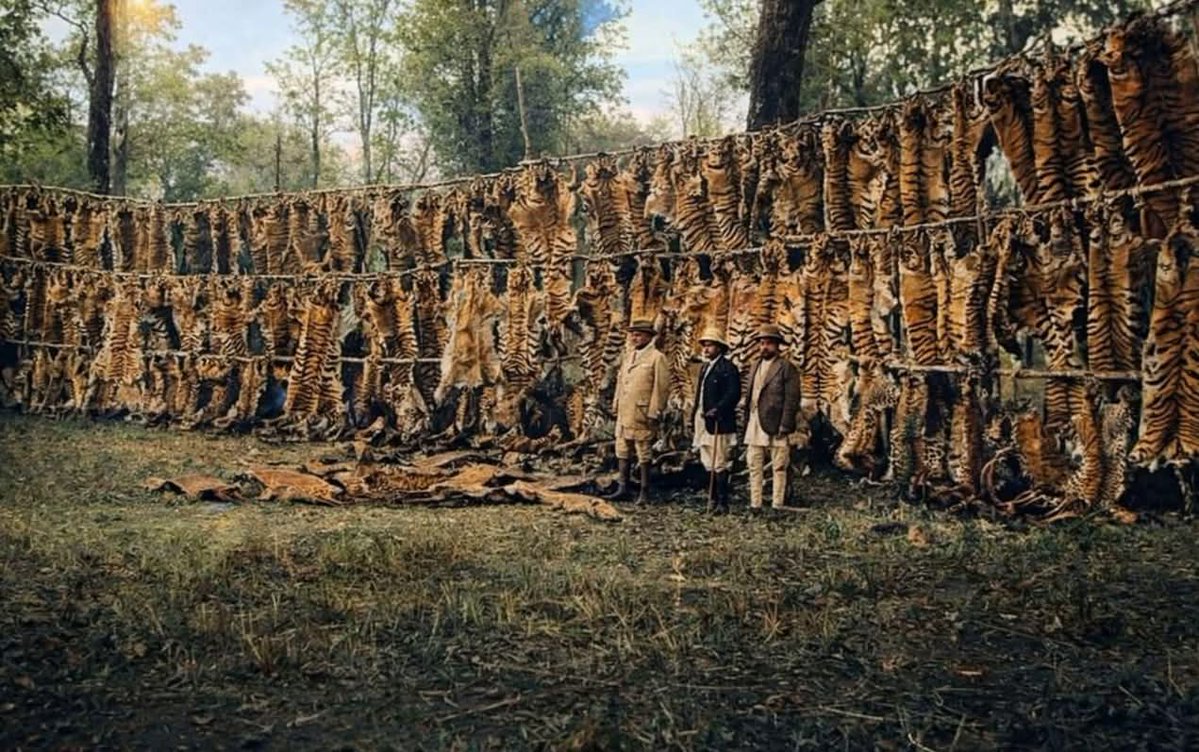 Archaeo - Histories tweet media