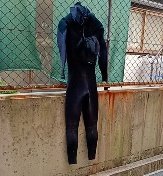 ファーさん。 tweet media