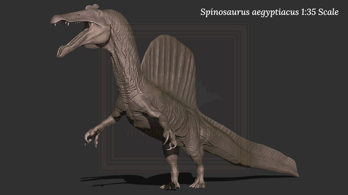vitaimagination's tweet image. The king of the rivers, Spinosaurus aegyptiacus, will be printed at a 1:35 scale.
At the customer's request, it will be printed in a screaming pose, and I am already looking forward to it.

#스피노사우루스 #Spinosaurus #dinosaur #공룡 #scalemodel