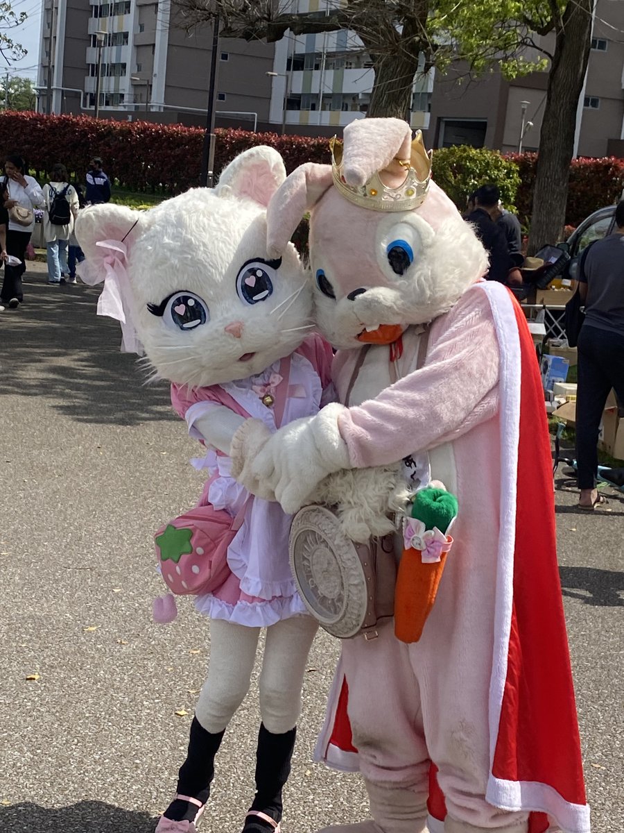 こりんご💉💉💉💉 tweet media