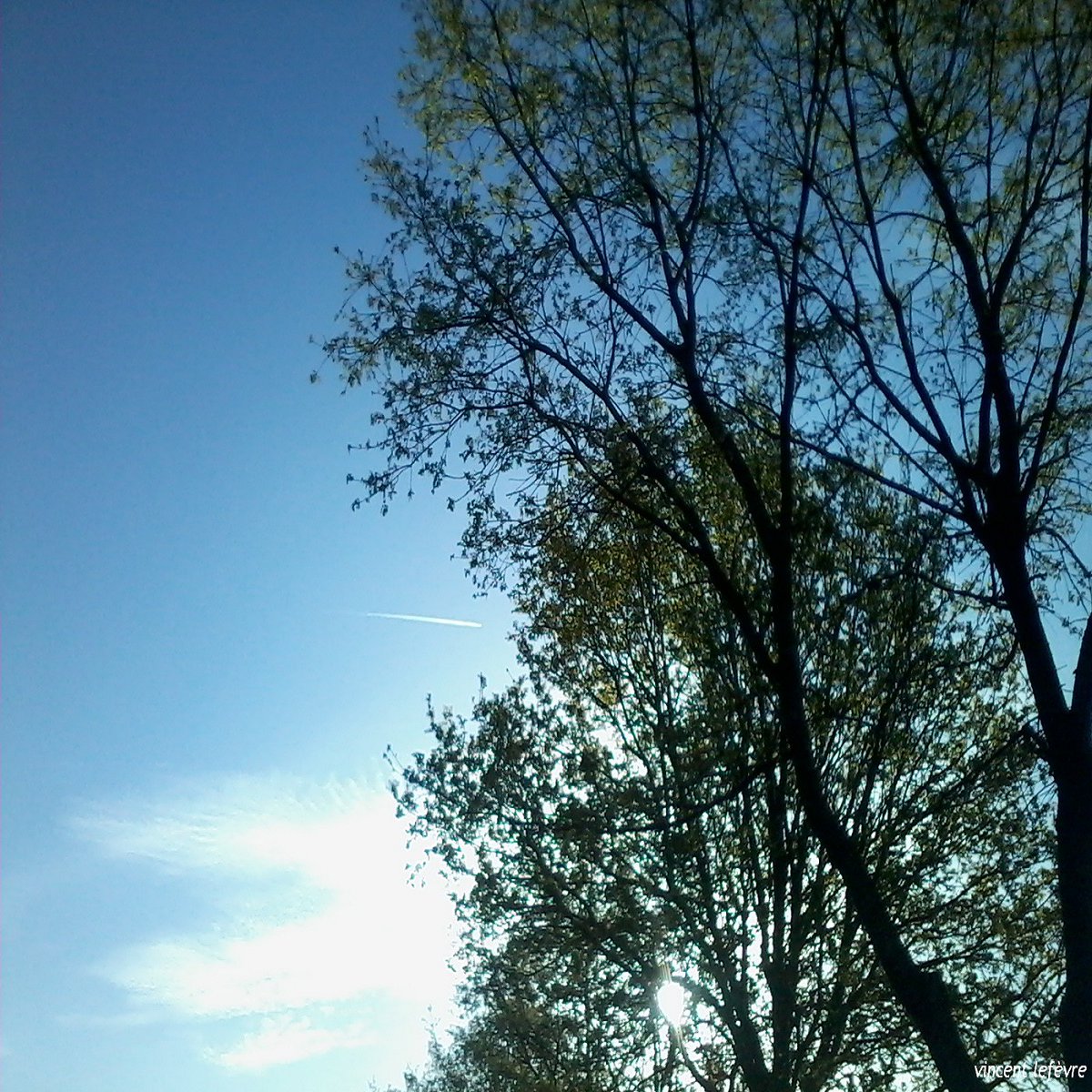 vinclefevre's tweet image. #forsure #survol, qui sait ? facebook.com/vincent.lefevr…