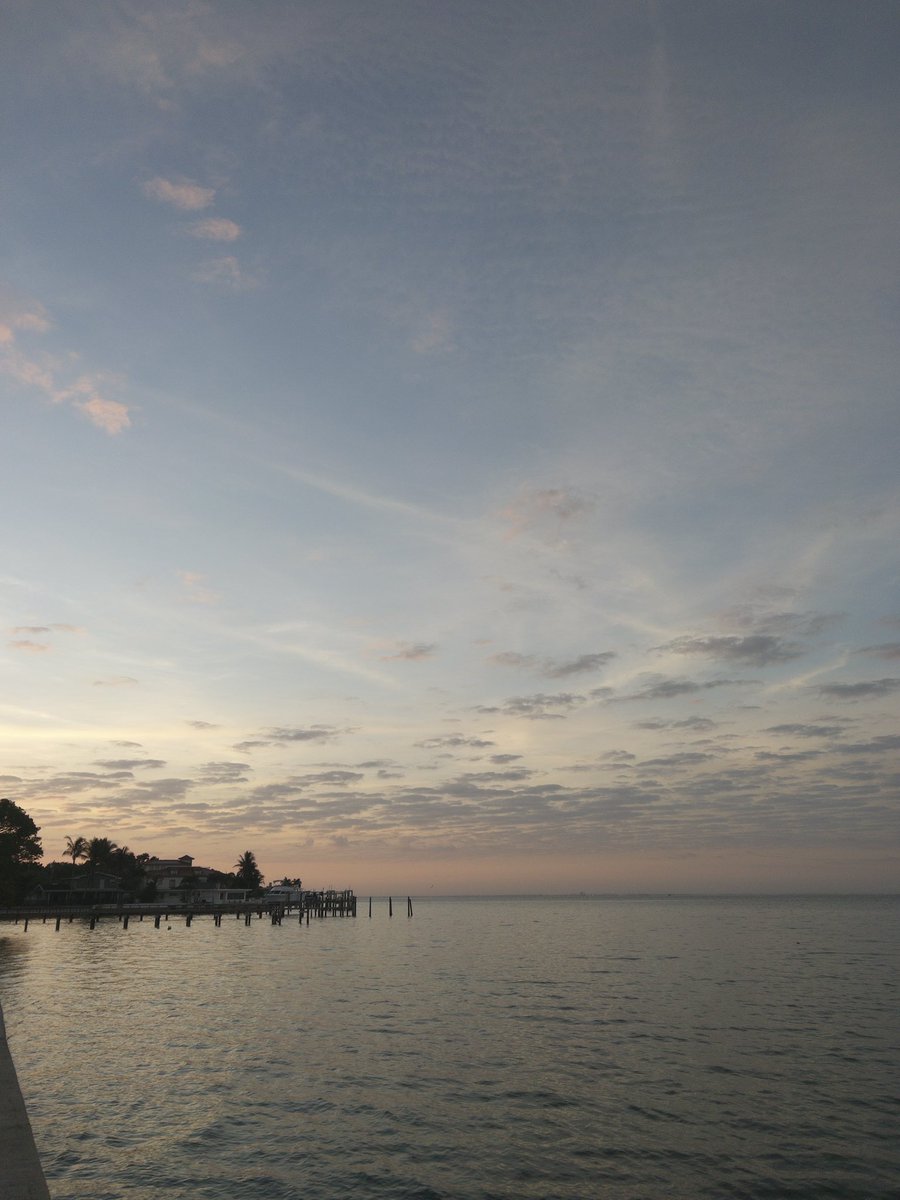 lambchop745's tweet photo. Good morning https://t.co/WRAAsH5CZy