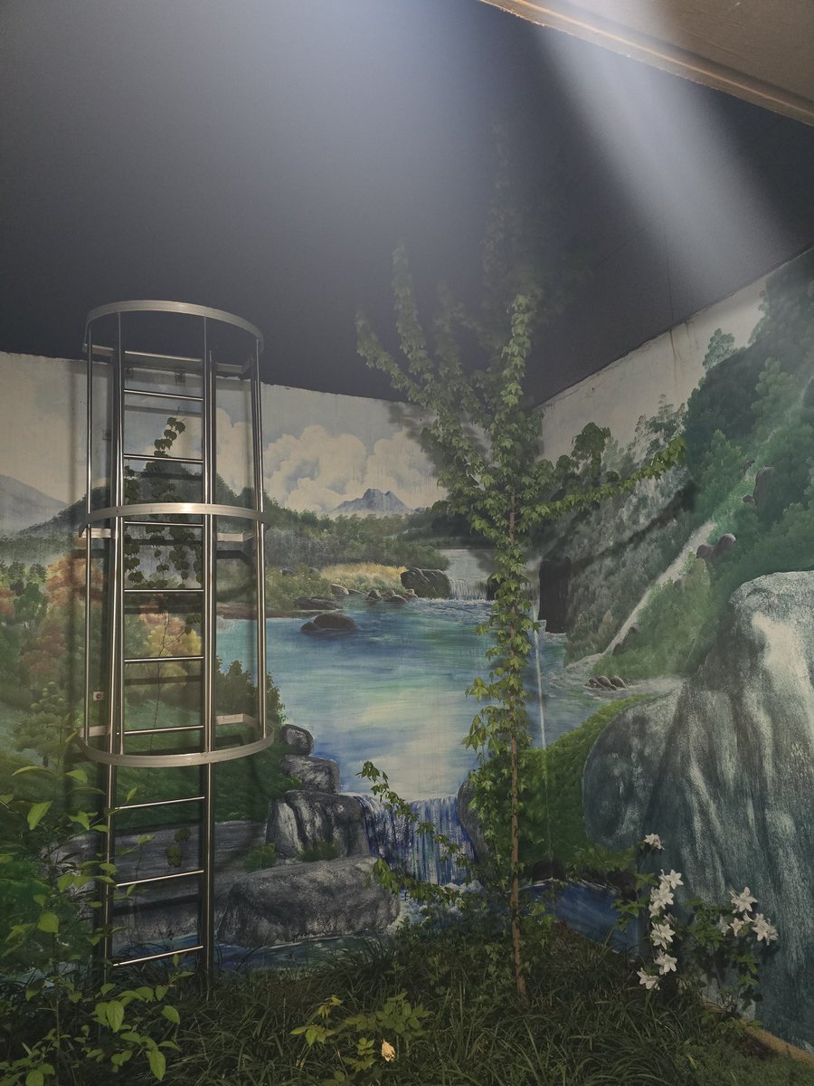 독군주 tweet media