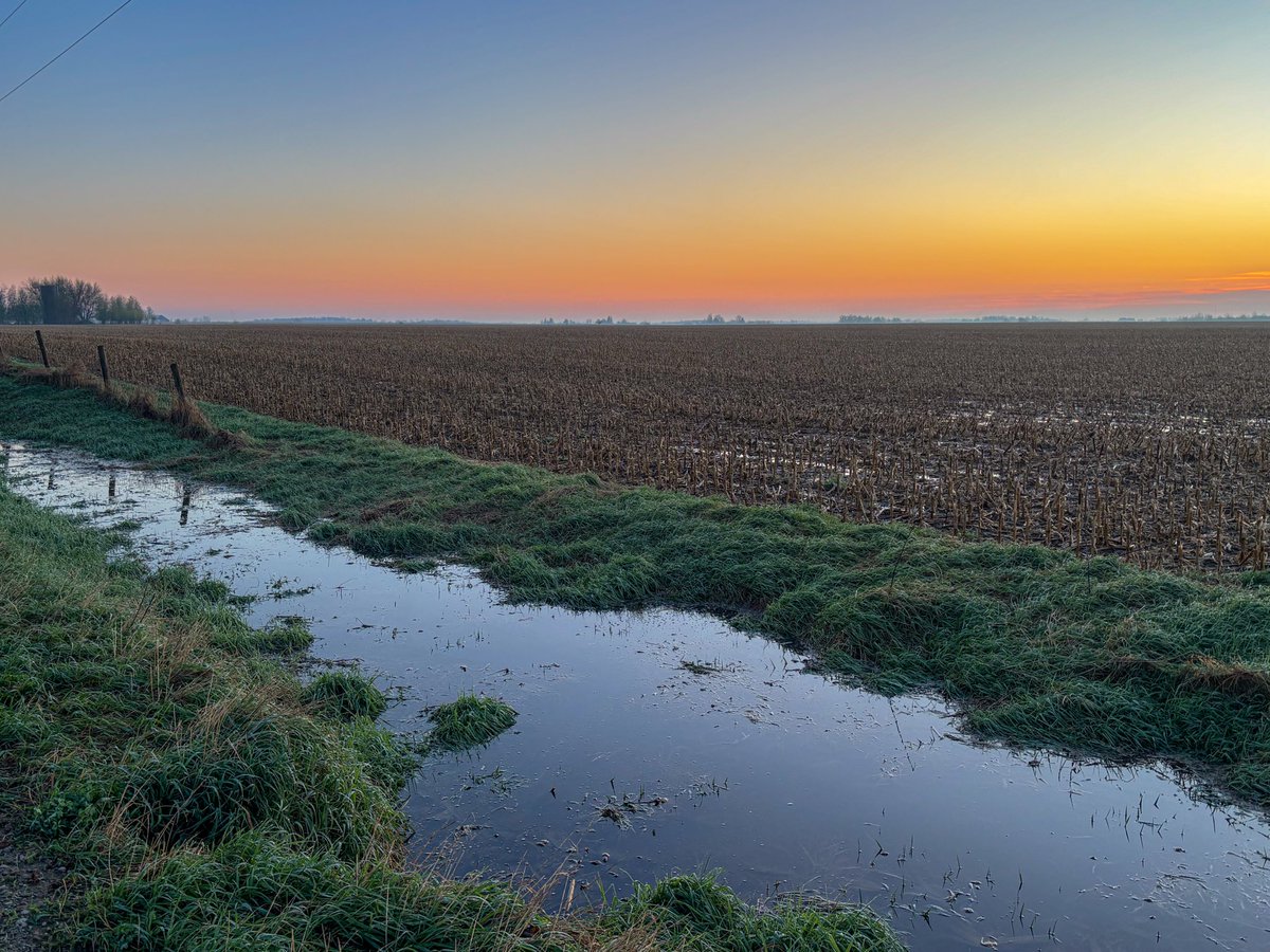 lifeandfitnessfiles tweet media