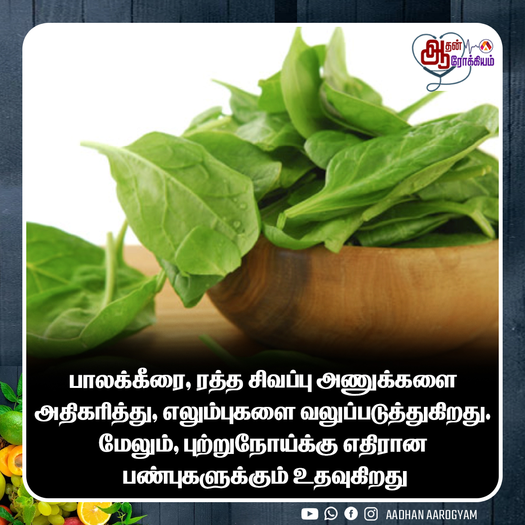 AadhanAarogyam's tweet image. பாலக்கீரை, ரத்த சிவப்பு அணுக்களை அதிகரித்து, எலும்புகளை வலுப்படுத்துகிறது
#letuces #Spinach #Healthbenefits