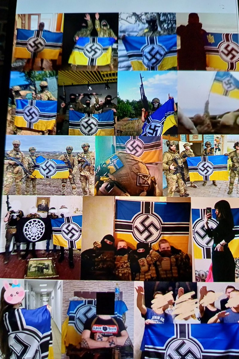 Toi van Gelder tweet media