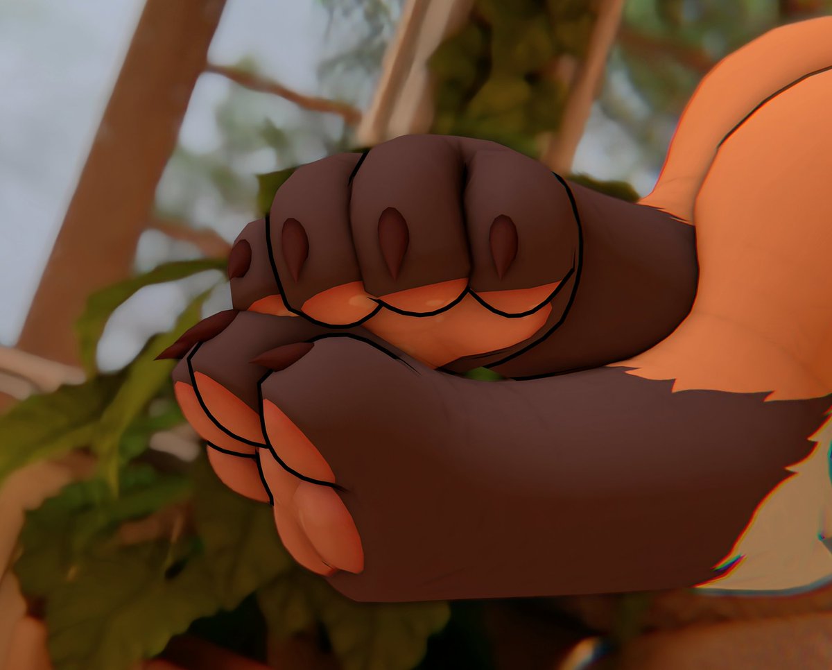 ReggieTheCaracal tweet media