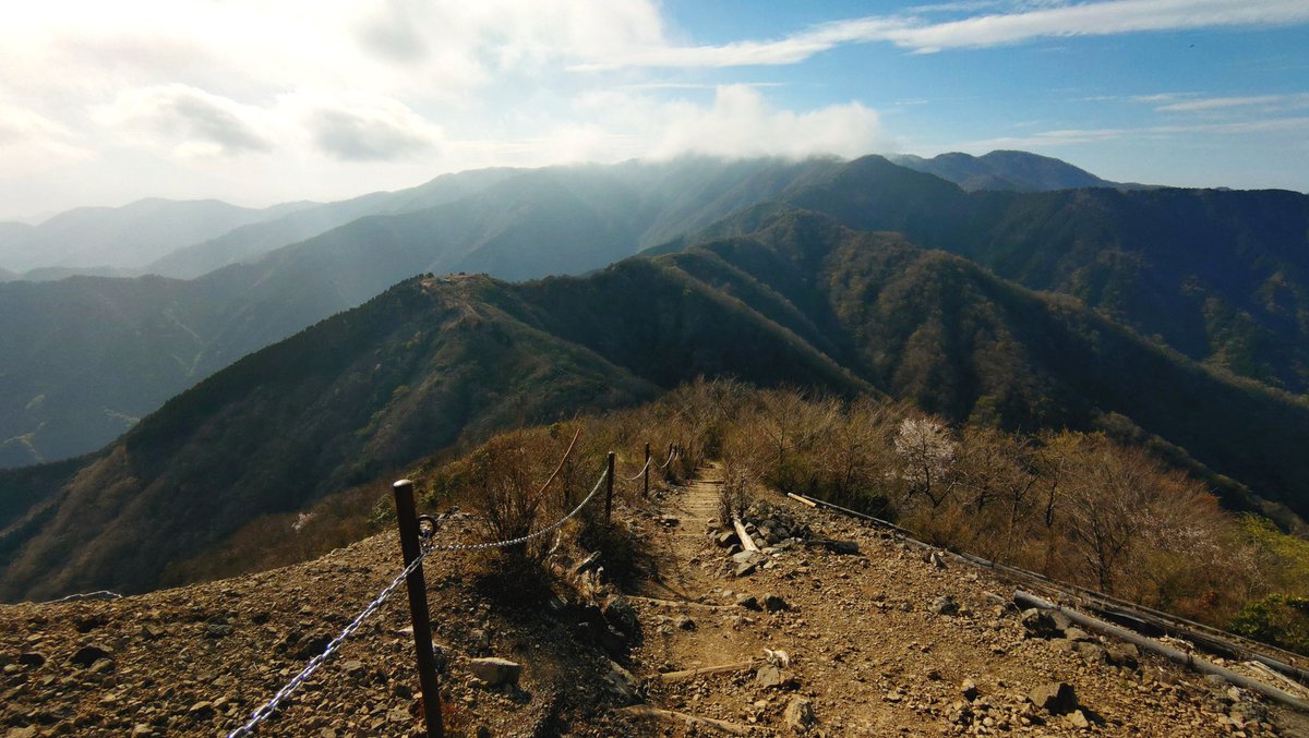 とんとろ tweet media