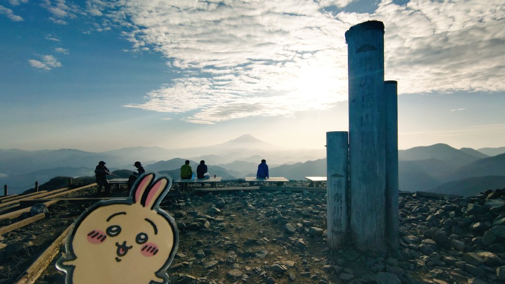 とんとろ tweet media