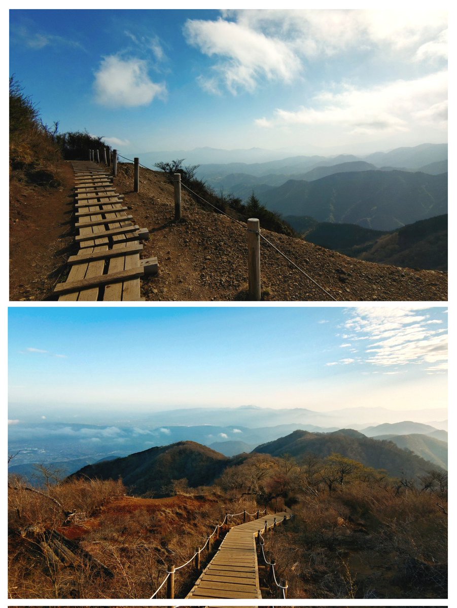 とんとろ tweet media