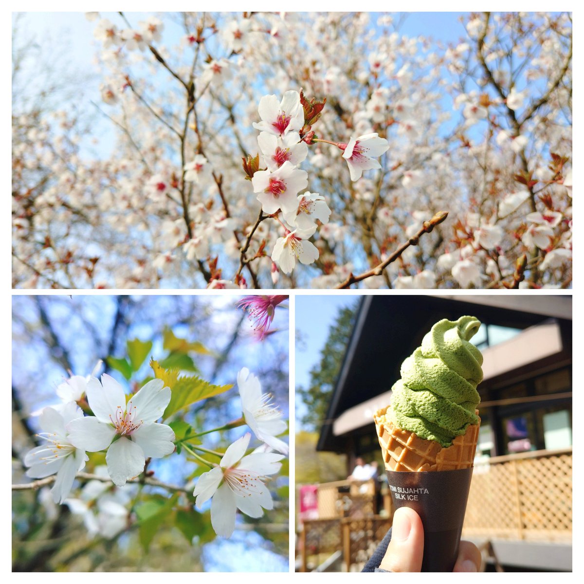 とんとろ tweet media