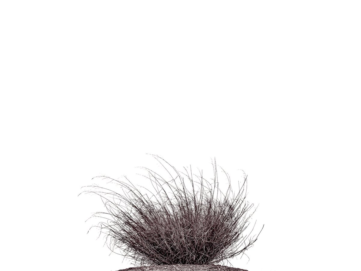 Phoenix_SGC's tweet image. #minimalism