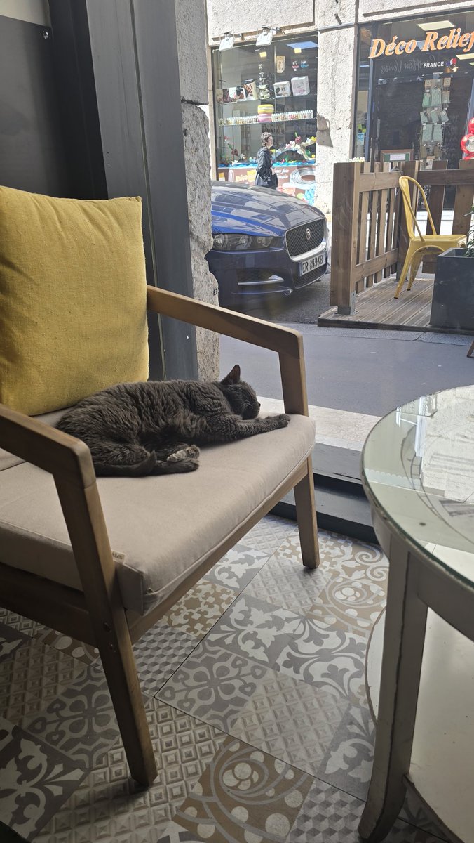 MagdalenaBdzie2's tweet image. Bo koty są wszędzie 🤩
Le Gentle Cat #Lyon 
Kocia kawiarnia i jej rezydenci
