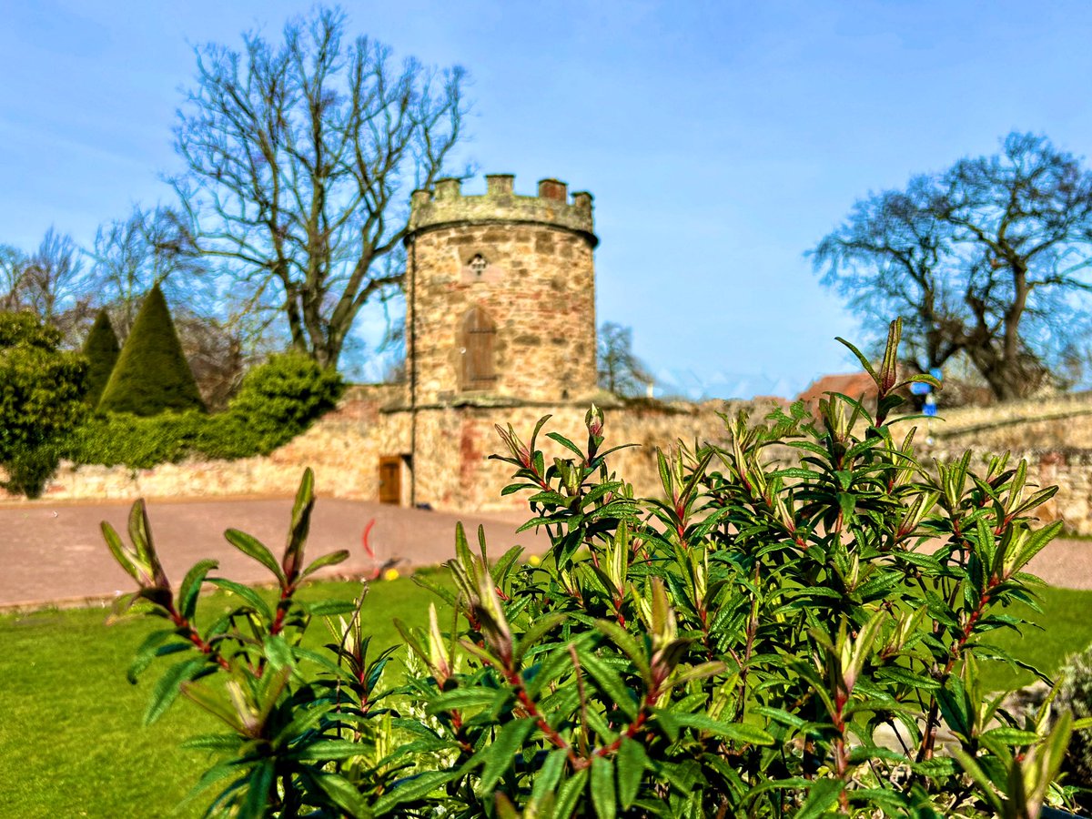 LStewart_books's tweet image. Blue sky over Haddington 
#Scotland #weekendvibes