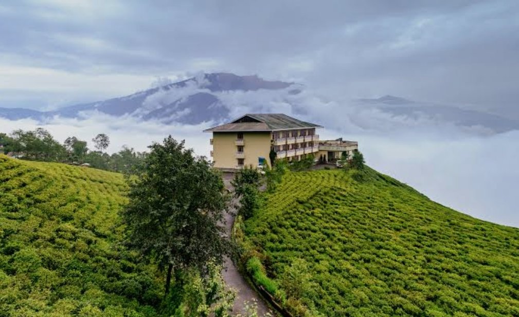 Snowlion728030's tweet photo. Sikkim’s Temi Tea Estate sets a new benchmark ☕🌿
First flush organic tea fetches up to ₹27,000/kg.
Premium quality, cleaner processing &amp; global standards driving its rise in international markets.

#Sikkim #Tea #Firstflush https://t.co/yyBC6J55Ec