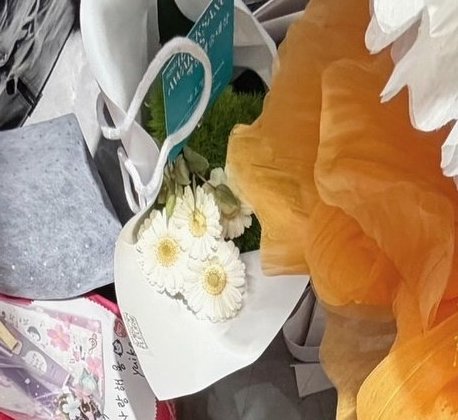 폴라리스💫 tweet media