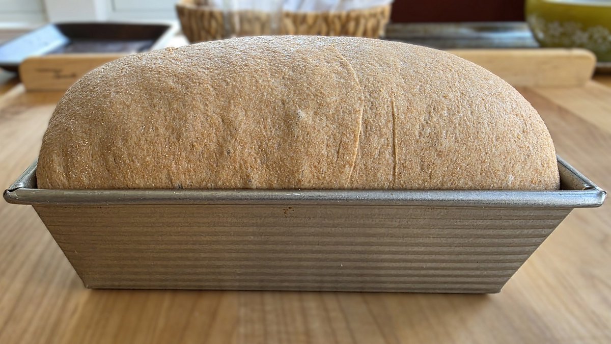 Breadtopia tweet media