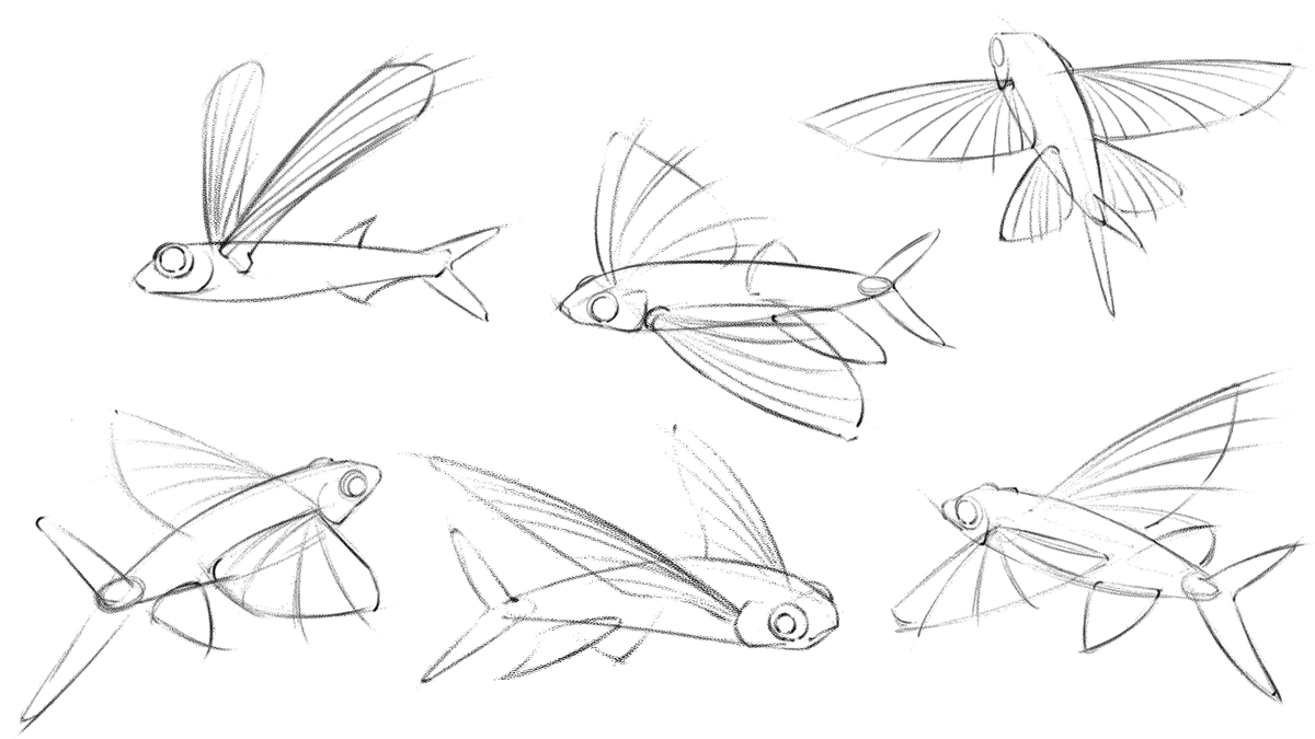 phuleart's tweet photo. flying fish. ✍️ https://t.co/QoAvQo1561