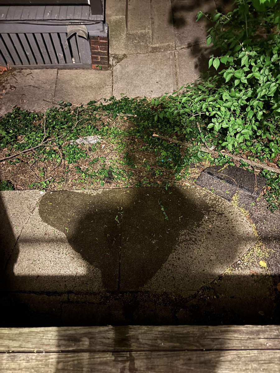 WallaceFantasia's tweet image. Back porch self piss dox #dox #athlete