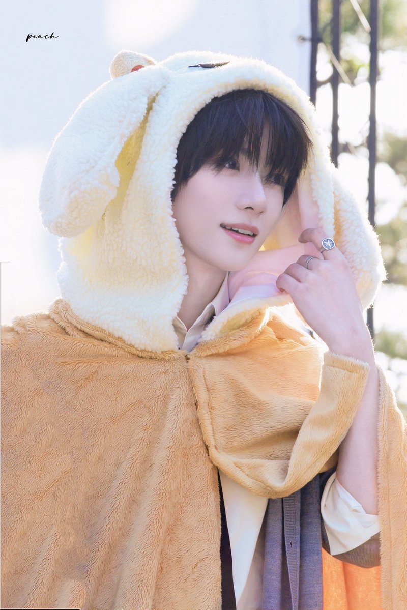 모에모에규 tweet media