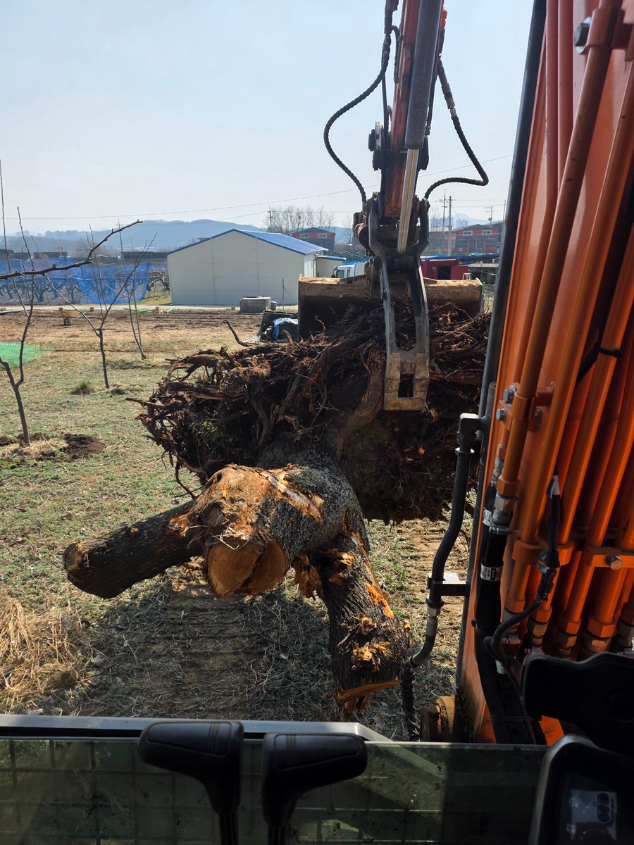 🌟mihong tweet media