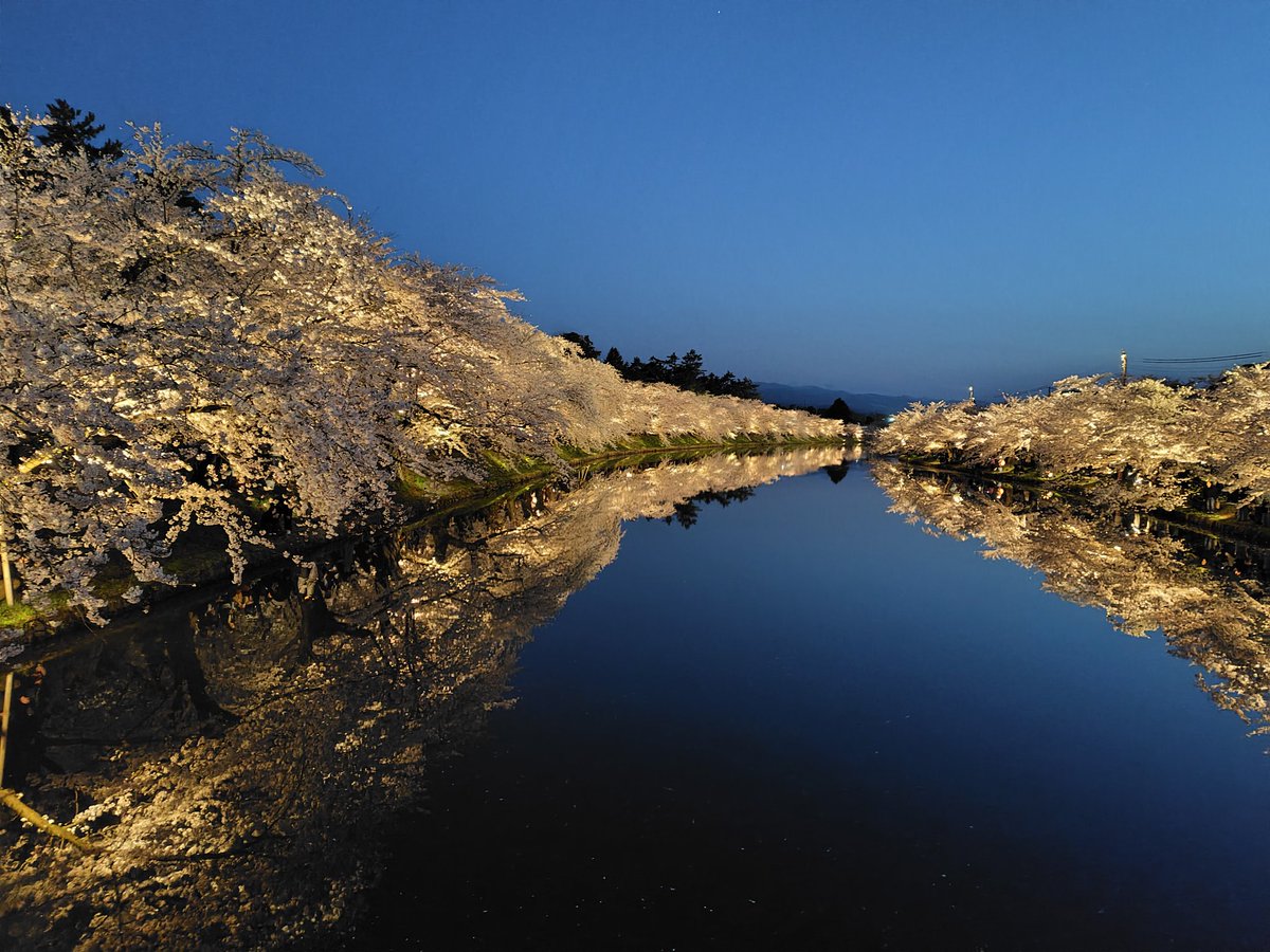 a_the_ns's tweet photo. 青森県の弘前さくら祭りに来ております。例年より10日早い開花だそうで、今日はちょうど満開で最高！ https://t.co/CQBspUlcsP