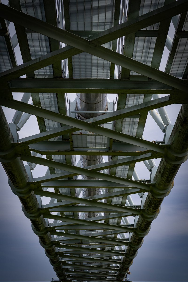 るびぃ08 tweet media