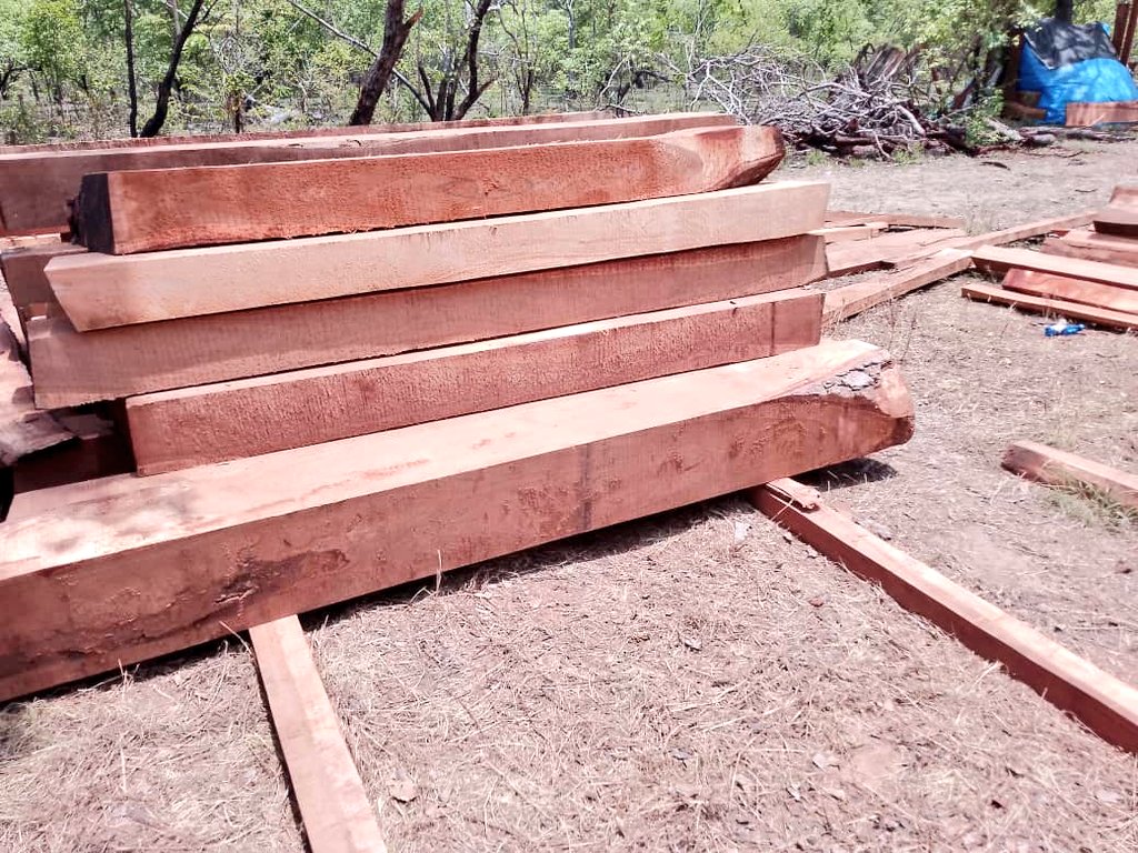 Tumia mbao ngumu (Hardwood) zenye rangi nzuri kwa samani zenye mwonekano wa kuvutia.
🪵 MNINGA — mbao yenye ubora wa juu na inayodumu muda mrefu.
Bei za Mninga:
2×8 – Tsh 120,000
2×6 – Tsh 80,000
📲 WhatsApp: +255 670 989 862