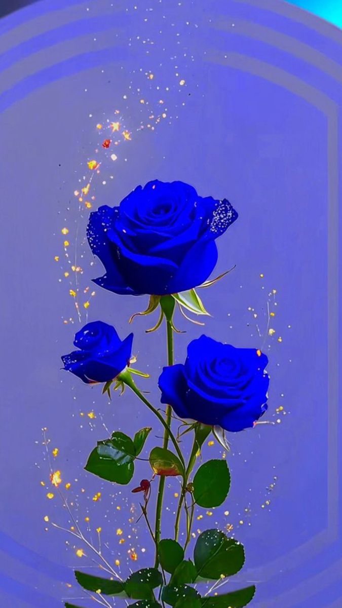 Flowers (@abcd248069) on Twitter photo 