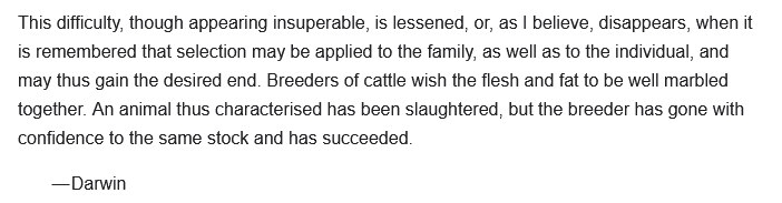 Isabella 🐍🪲 tweet media