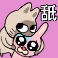 许ZzZzZzZz和ZzZz tweet media