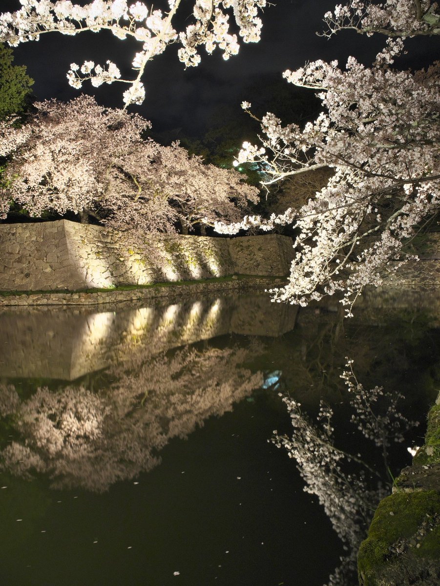 ざんざるぶ tweet media